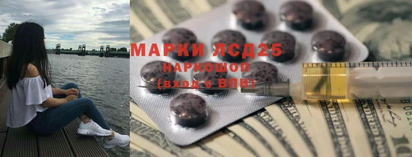 твердый Михайлов