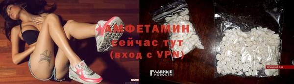 твердый Михайлов