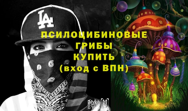 прущие крисы Михайловск