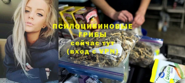 сатива Михайловка