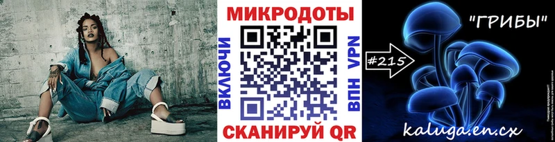 Псилоцибиновые грибы Psilocybine cubensis  Козьмодемьянск 