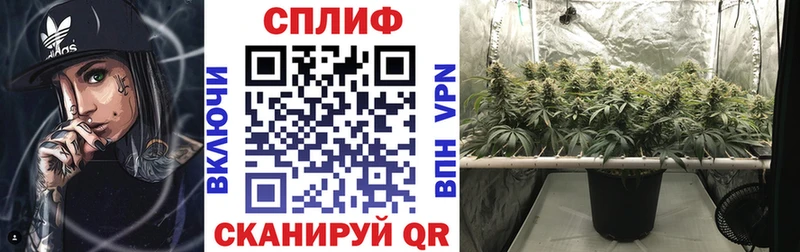 Конопля White Widow  продажа наркотиков  Козьмодемьянск 